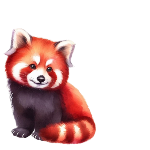(s109-14-1J) Red Panda