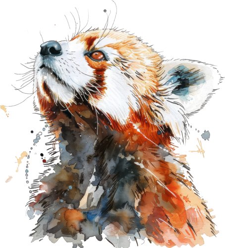 (s109-14-2M) Red Panda