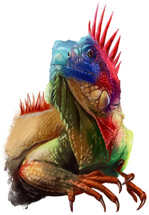 (s109-15-C) Iguana