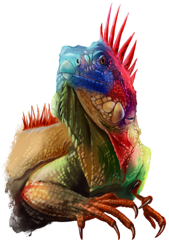(s109-15-C) Iguana