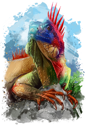 (s109-15-D) Iguana