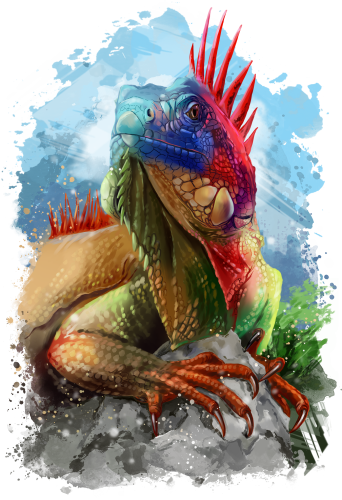 (s109-15-D) Iguana