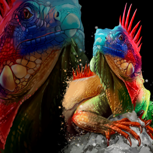 (s109-15-E) Iguana