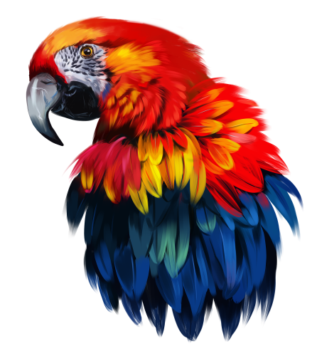 (s109-16-C) Macaw