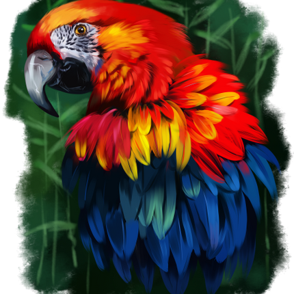 (s109-16-D) Red Macaw