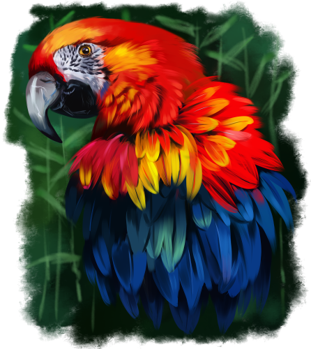 (s109-16-D) Red Macaw