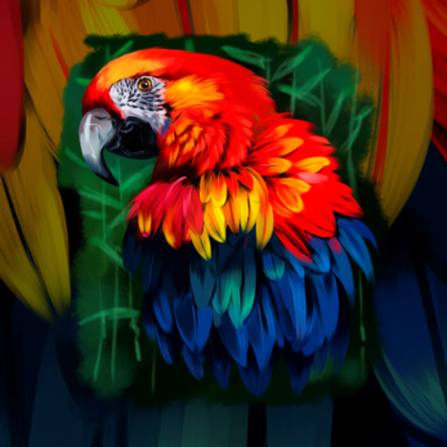 (s109-16-E) Red Macaw