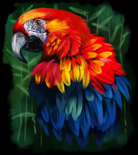 (s109-16-F) Red Macaw