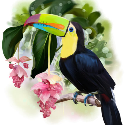 (s109-17-B) Toucan Flowers