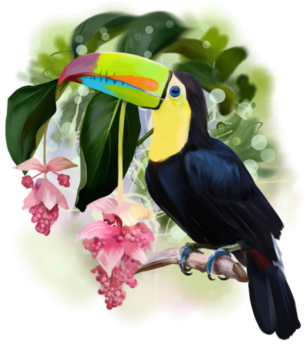 (s109-17-B) Toucan Flowers