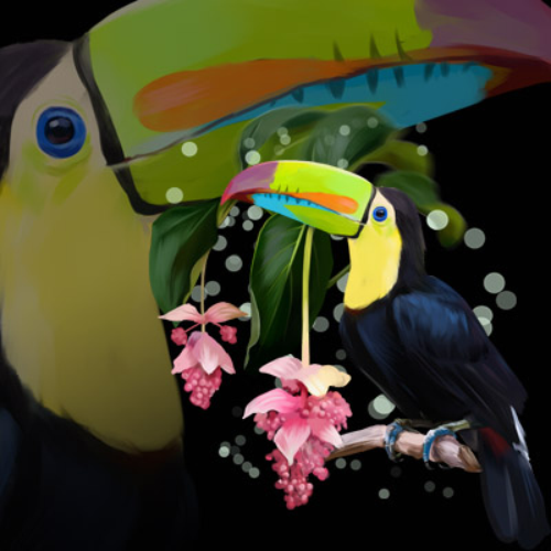 (s109-17-C) Toucan Flowers
