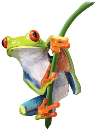 (s109-18-A)  Tree Frog
