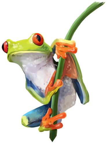 (s109-18-A)  Tree Frog