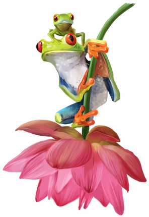 (s109-18-B)  Tree Frogs Flower