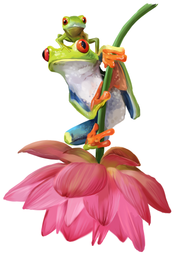 (s109-18-B)  Tree Frogs Flower