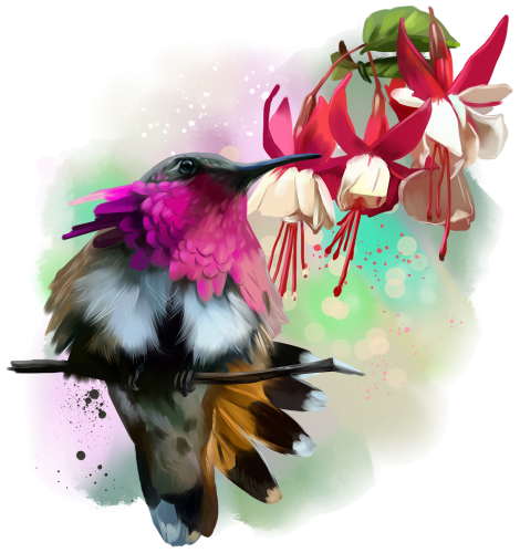 (s109-2-A) Hummingbird Flowers