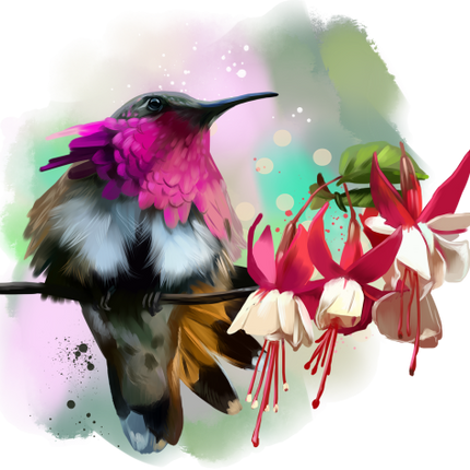 (s109-2-B) Hummingbird Flowers