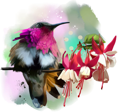 (s109-2-B) Hummingbird Flowers