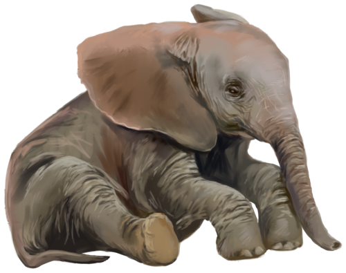 (s109-20-A)  Baby Elephant