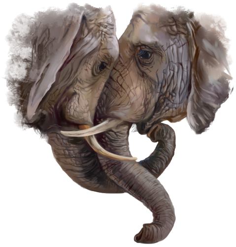 (s109-20-B) Elephant Couple