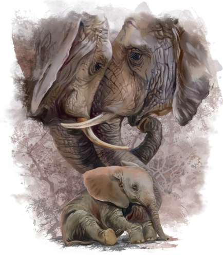 (s109-20-C)  Elephant Family