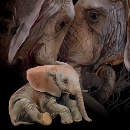 (s109-20-D) Elephant Couple Baby