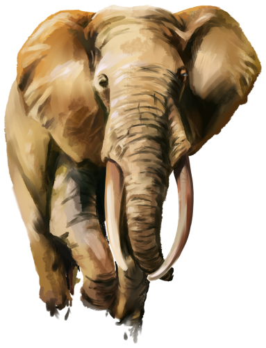 (s109-20-E)  Elephant