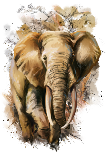 (s109-20-F)  Elephant