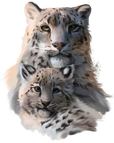 (s109-21-A) Snow Leopard