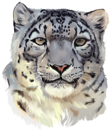 (109-21-C) Snow Leopard