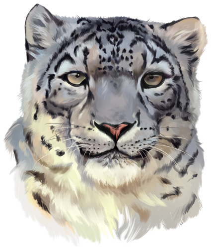 (s109-21-C) Snow Leopard
