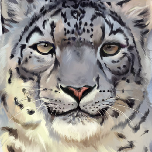 (s109-21-D) Snow Leopard