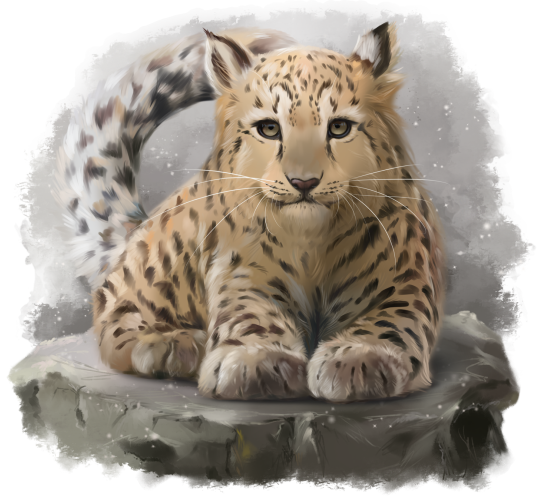 (s109-22-B) Leopard