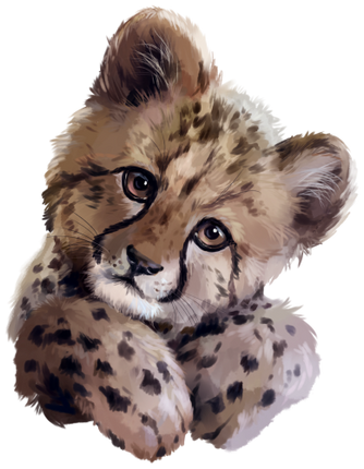 (s109-23-A) Cheetah Cub