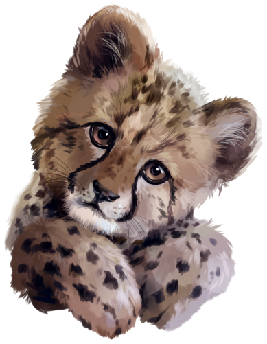(s109-23-A) Cheetah Cub