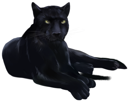 (s109-24-A) Black Panther