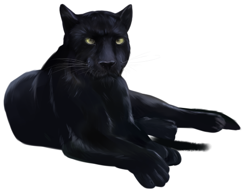 (s109-24-A) Black Panther