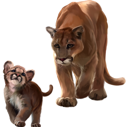 (s109-24-C) Cougar Mountain Lion Mama & Baby