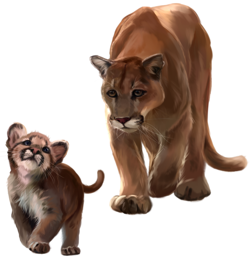 (s109-24-C) Cougar Mountain Lion Mama & Baby