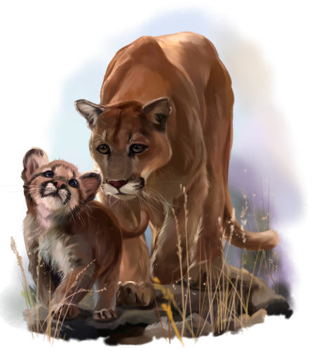 (s109-24-D) Cougar Mountain Lion Mama & Baby