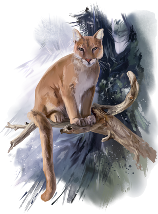 (s109-24-F) Cougar Mountain Lion