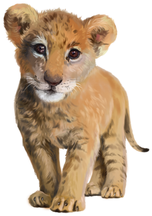 (s109-25-A) Baby Lion Cub
