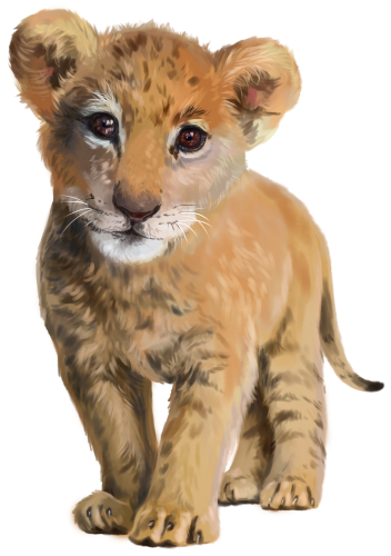 (s109-25-A) Baby Lion Cub