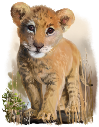 (s109-25-B) Baby Lion Cub
