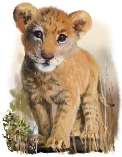 (s109-25-B) Baby Lion Cub