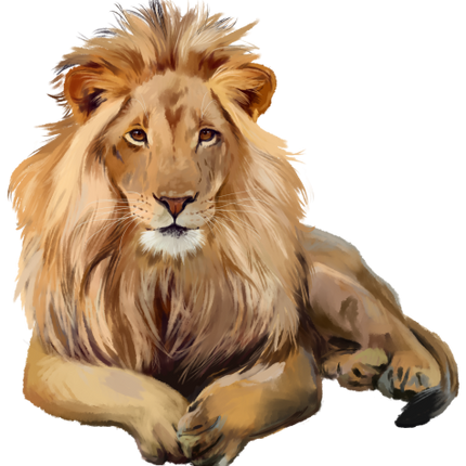 (s109-25-D) Lion