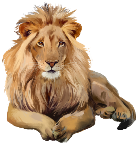 (s109-25-D) Lion