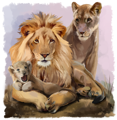 (s109-25-E) Lion Family