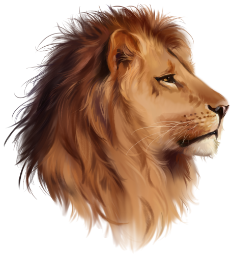 (s109-25-G) Lion