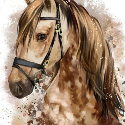 (s109-3-B)  Watercolor Horse